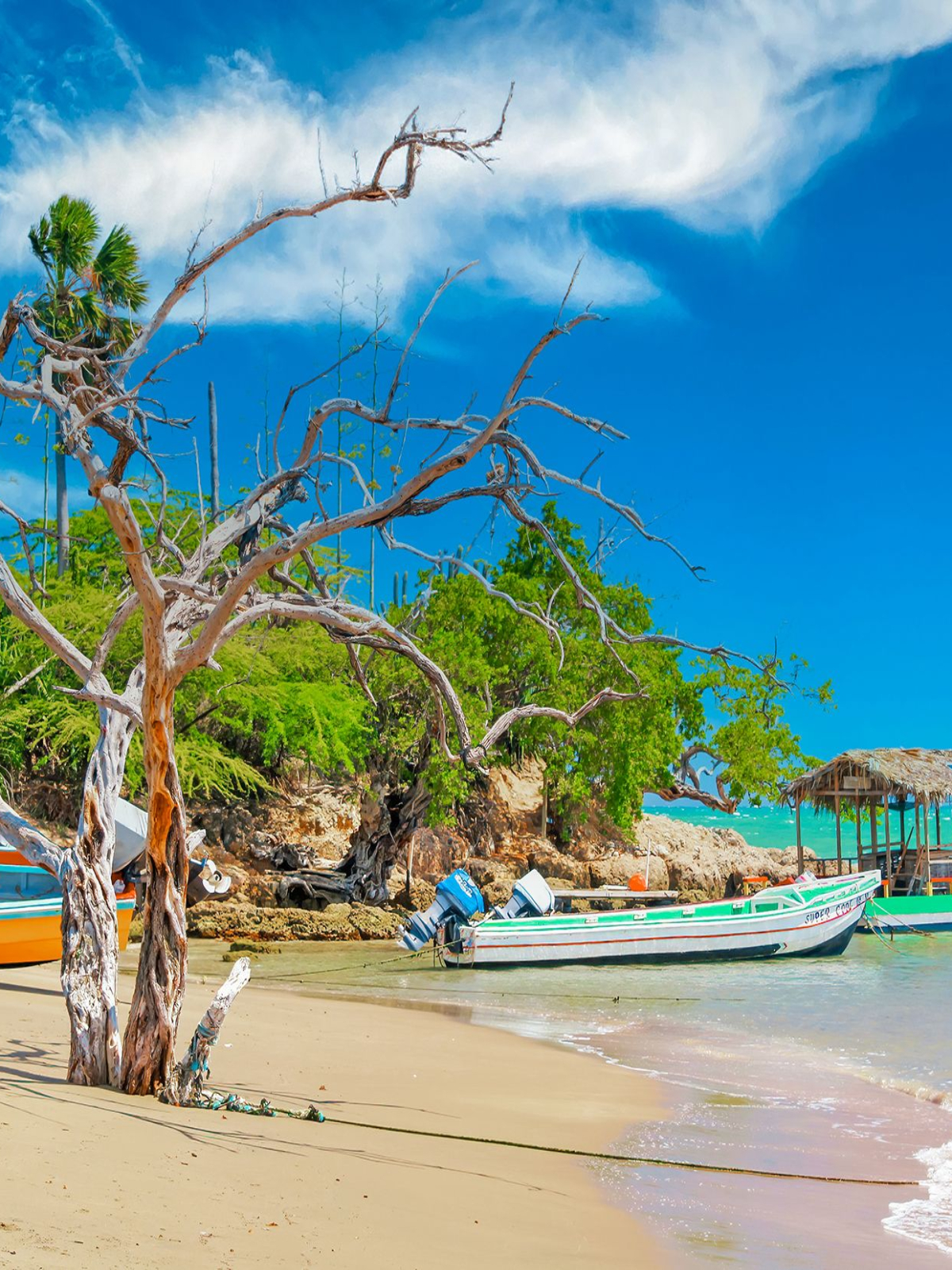 Treasure Beach Jamaica Shore Boatss